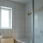 アパート Studiowohnungen Am Neuberinhaus F&g *